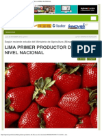 Agrariape Lima Primer Productor de Fresa A Nivel Nacional