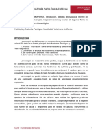 guia-necropsia-mamiferos.pdf