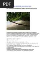 10 dicas para criar um ambiente democrático na escola