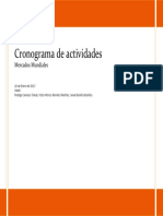 Cronograma de Actividades