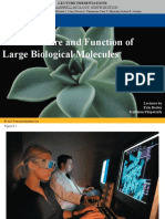 Chapter 5 Structure and Function of Large Molecules