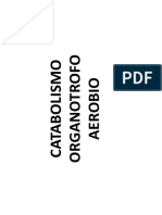 3.catabolismo Organotrofo