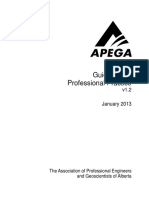 Professional Practice PDF