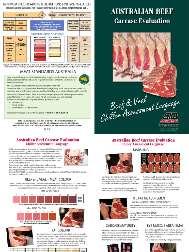 Beef & Veal Chiller Assessment Language | PDF | Beef | Meat