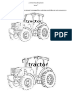 Activitate Transdisciplinară-T