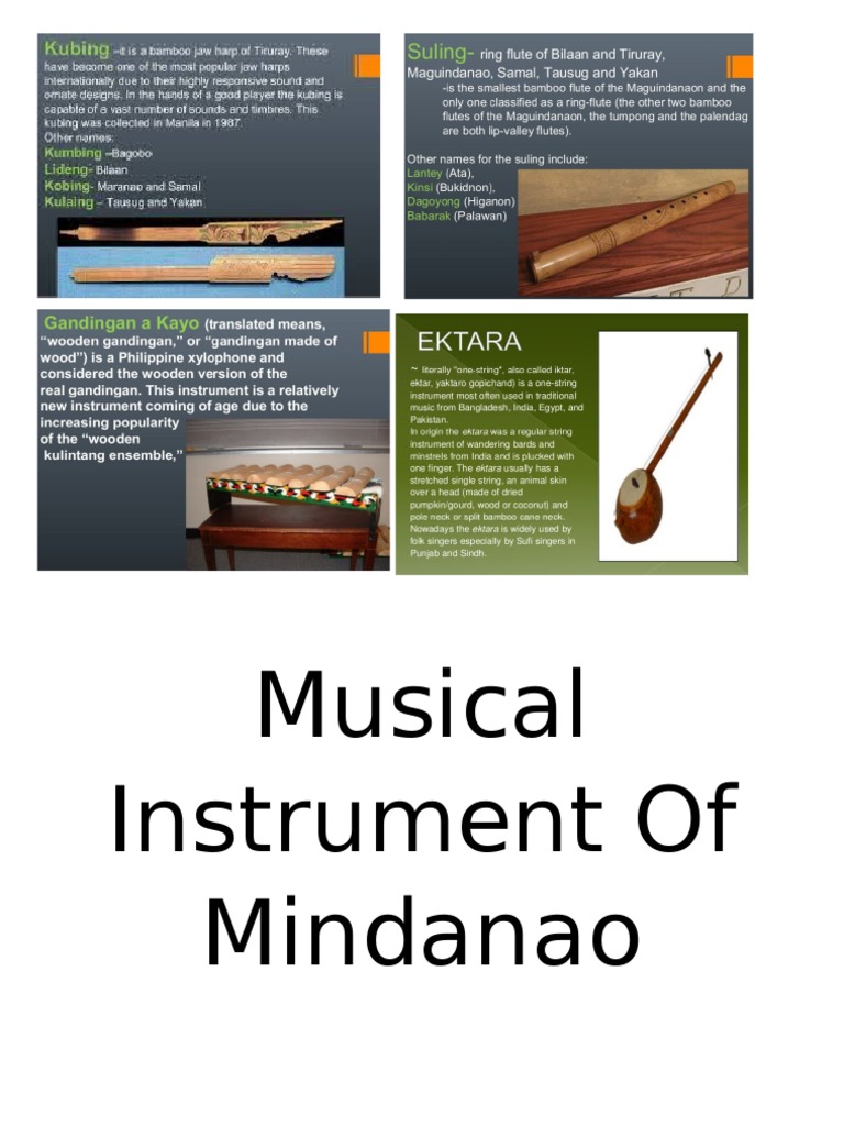 Musical Instrument of Mindanao PDF