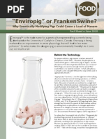 Download Enviropig or FrankenSwine Why Genetically Modifying Pigs Could Cause a Load of Manure by Food and Water Watch SN33752303 doc pdf