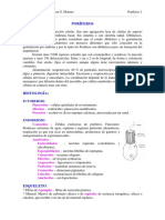 B2 PORIFEROS.pdf