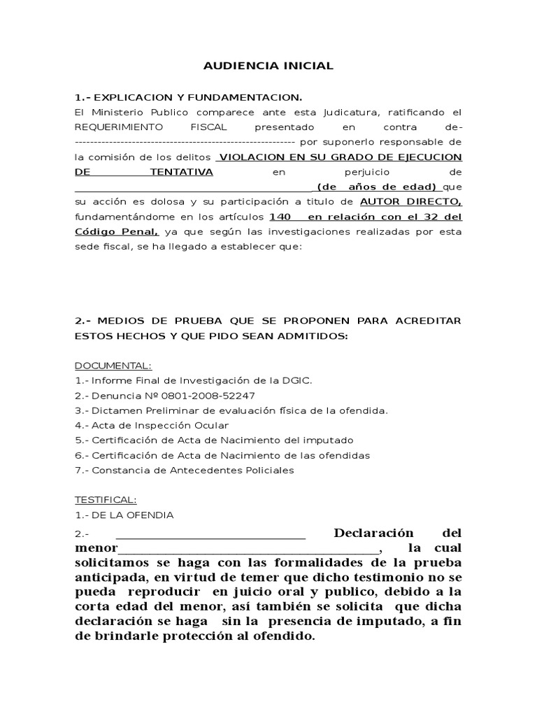 Formato para Realizar Contenido de La Audiencia Inicial | PDF