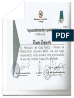 BENITO 14.pdf