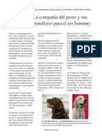 La Compañía Del Perro y Sus BENEFICIOS 