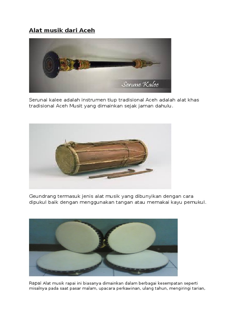 Alat Musik Dari Aceh Rapai