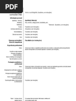 Europass CV Exemplo preenchido PT