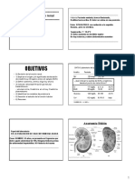 4-Bioquimica Exploración de La Función Renal Clase 4