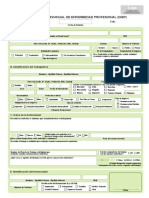 nuevo-formulario-diep.pdf