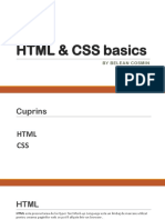 HTML & Css Basics