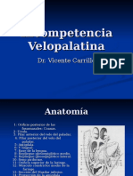 HLP - Incompetencia Velopalatina y Obstruccion Nasal