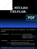 1 Nucleo