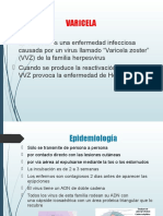 Trabajo Epidemiologia varicela