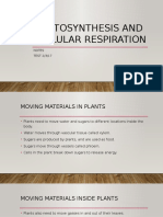 Photosynthesis and Cellular Respiration