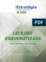 Microsoft Word - Lei 8.080 Esquematizada