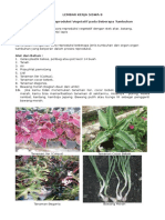 8. LKS - Menyelidiki Reproduksi Vegetatif Tumbuhan