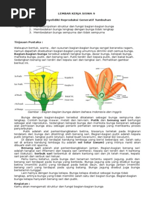  Bunga  Tidak  Sempurna  Dan  Bagian Bagiannya  Berbagai 