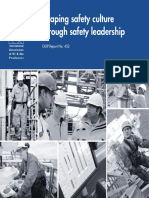 Shaping culture on safety.pdf