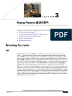 Routing Protocols (BGP/OSPF) : Technology Description