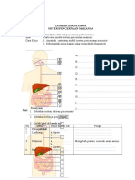 1dokumen.tips_sistem-pencernaan-manusia-55846847be049.doc