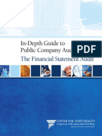 in-depth-guide-to-public-company-auditing.pdf