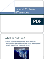 Understanding Culture and Its Impact in the Workplace