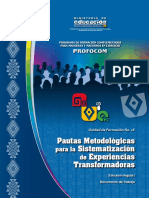 UF16 Pautas Metodológicas Para La Sistematización de Experiencias Transformadoras
