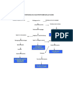 KDM Anemia