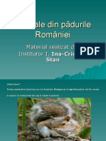 animale_s.ppt