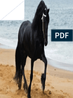 caballo.pdf