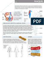 Material Didatico Maquel Sistema Linfatico