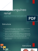 Fisiologia