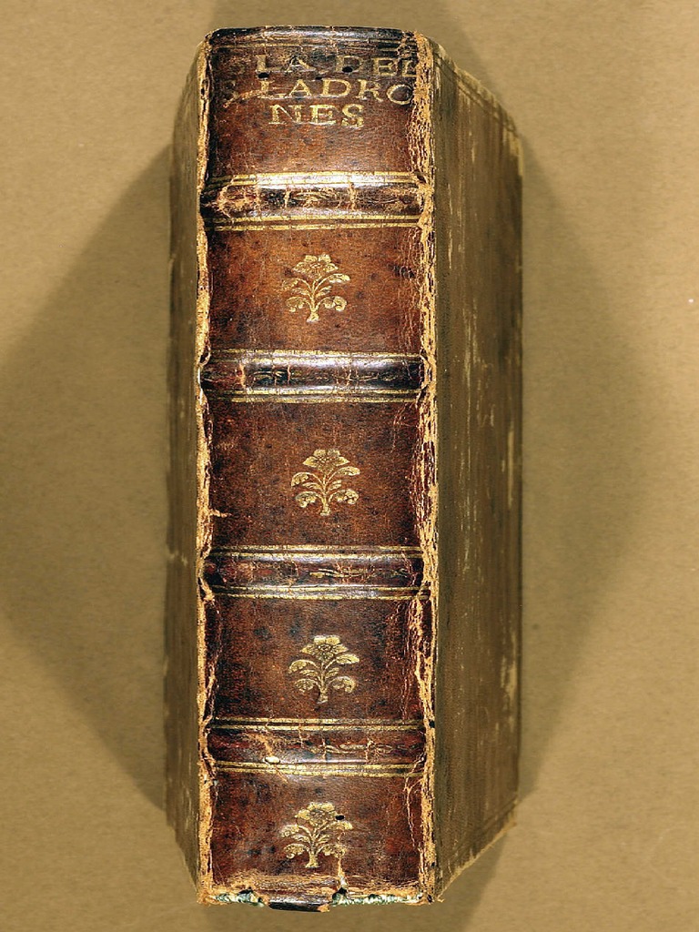 www.scribd.com