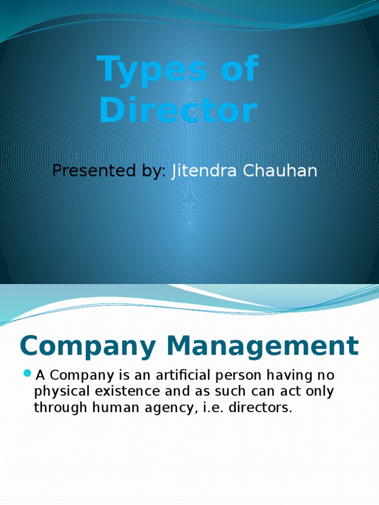 Types of Company Directors Explained | PDF