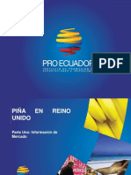 Proec Ppm2013 Piña Reinounido i