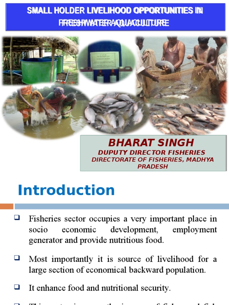 Aquaculture An Overview of Madhya Pradesh Aquaculture Fish