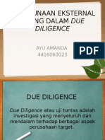 Ayu Amanda - Due Diligence