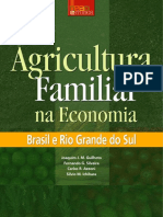 Agricultura familiar na economia Brasil e RGS.pdf