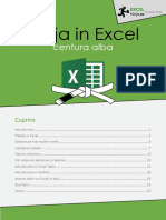 Ninja-in-Excel-centura-alba-excelninja.ro_.pdf