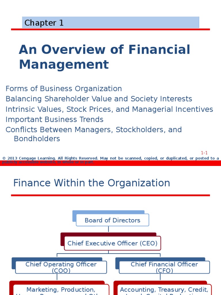 An Overview of Financial Management | PDF
