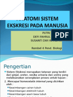 4_2b_anatomi Sistem Ekskresi Pada Manusia