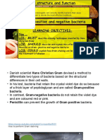 Lesson 8 Gram Positive and Negative Bacteria