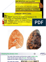 Lesson 20 Cardiovascular and Respiratory Diseases