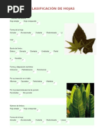 Clasificación de Hojas